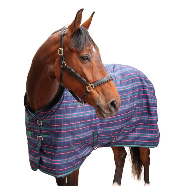Tempest Plus Standard-Neck Checked 100g Horse Stable Rug