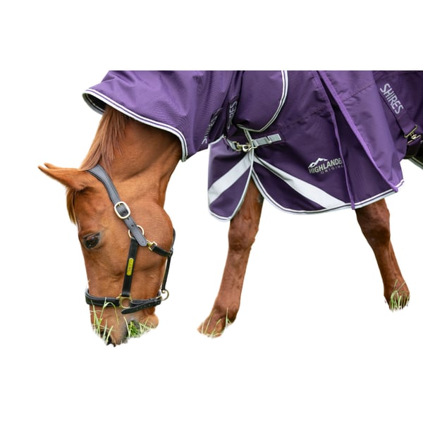Shires Highlander Original 100g Horse Turnout Rug & Neck Cover