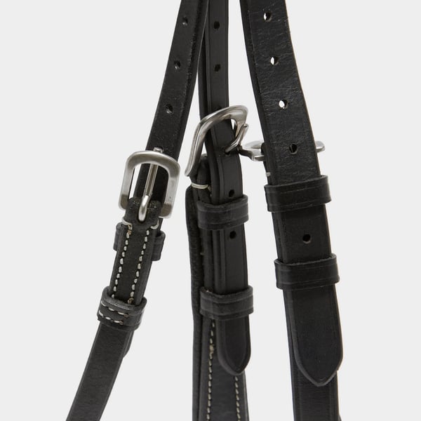 Salisbury Buckingham Leather Horse Bridle