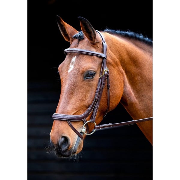 Salisbury Buckingham Leather Horse Bridle