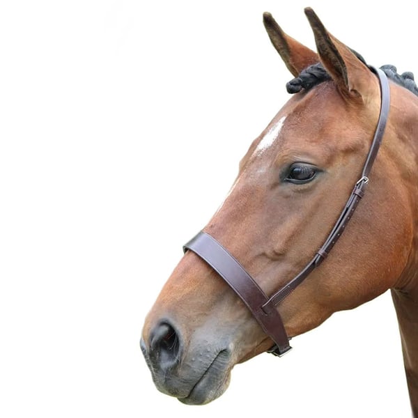 Blenheim Hunter Leather Horse Cavesson