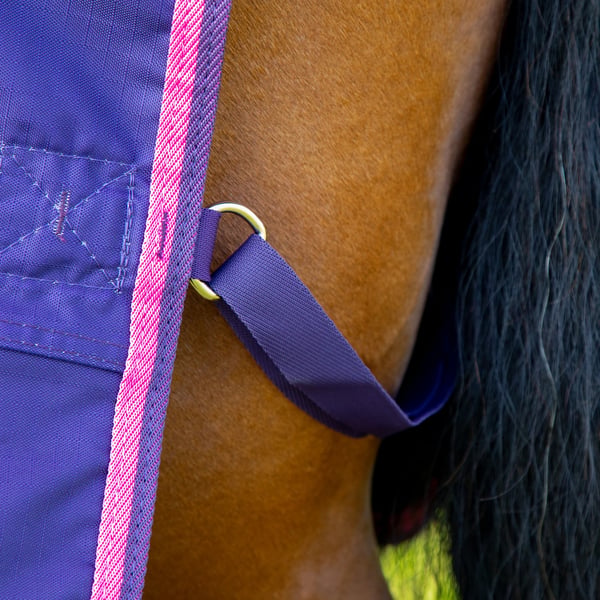 Tempest Original Tie Dye 200g Standard Neck Horse Turnout Rug