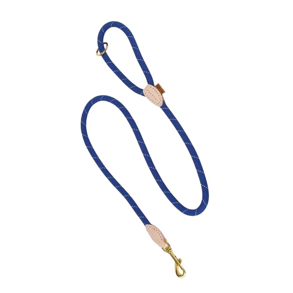 Digby & Fox Reflective Leather Training Dog Lead