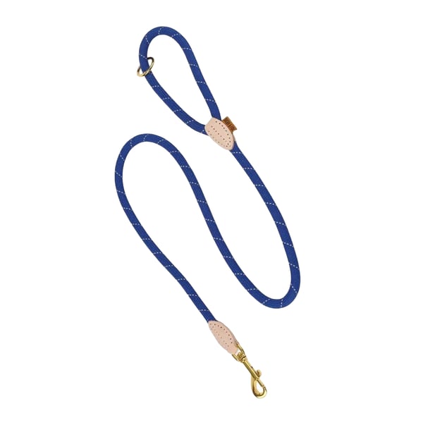 Digby & Fox Reflective Leather Training Dog Lead
