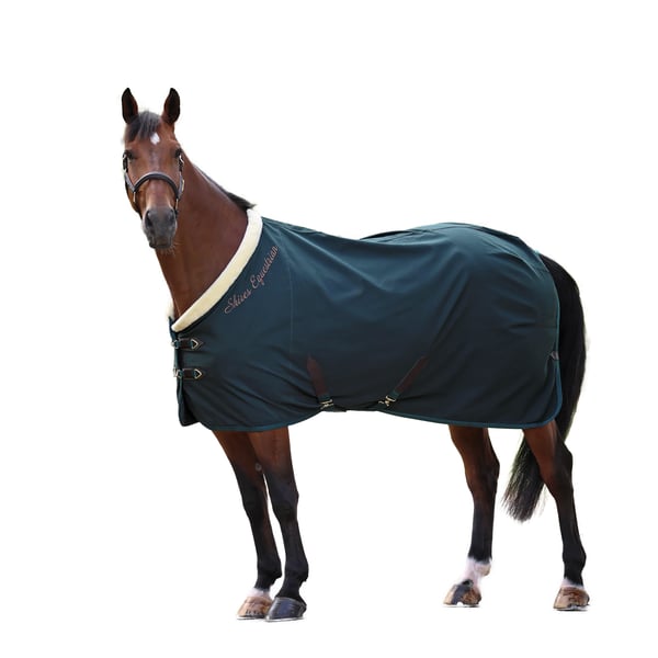 Shires Deluxe -talliloimi, vakiokaula