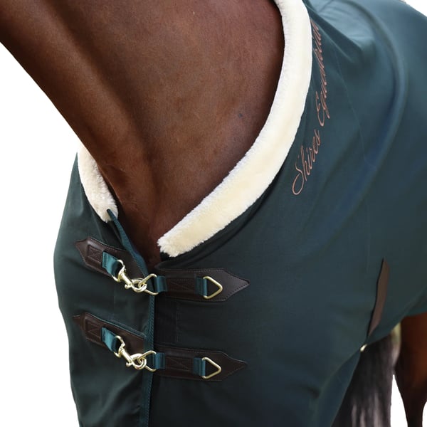 Shires Deluxe -talliloimi, vakiokaula