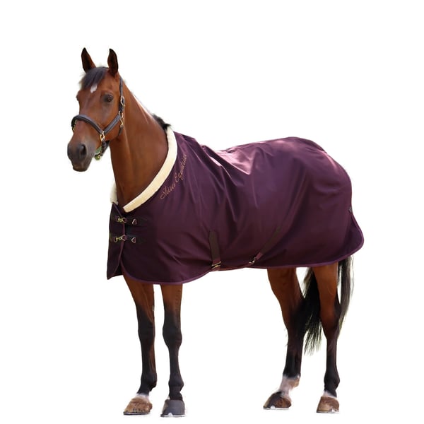 Shires Deluxe Standard-Neck Horse Stable Rug
