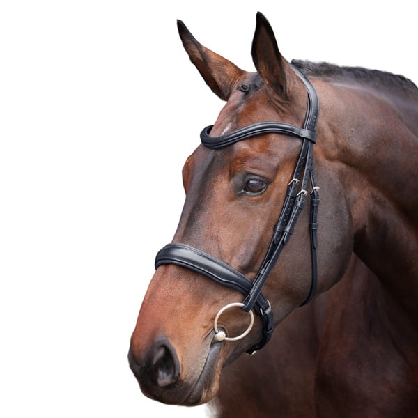 Velociti Lusso Elite Leather Padded Horse Cavesson Bridle