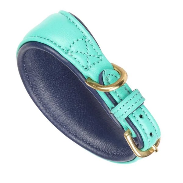 Digby & Fox Leather Padded Greyhound Dog Collar