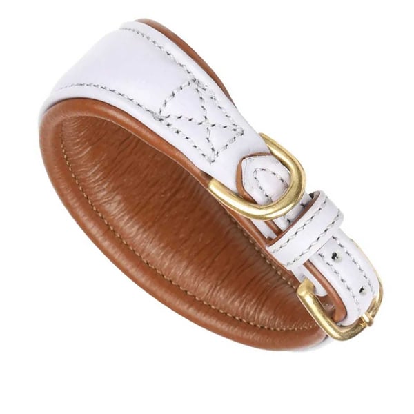 Digby & Fox Leather Padded Greyhound Dog Collar