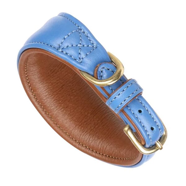 Digby & Fox Leather Padded Greyhound Dog Collar