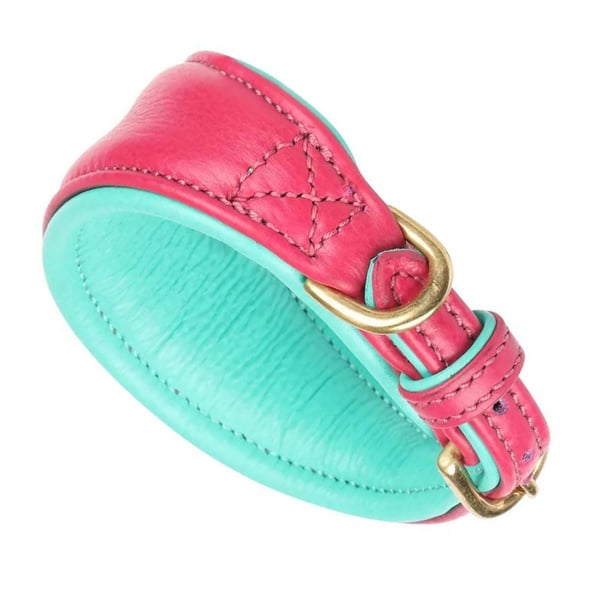 Digby & Fox Leather Padded Greyhound Dog Collar