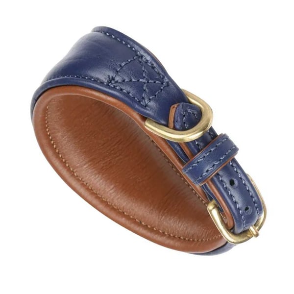 Digby & Fox Leather Padded Greyhound Dog Collar