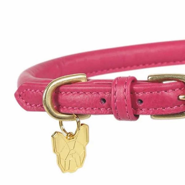 Digby & Fox Rolled Leather Buckle Dog Collar