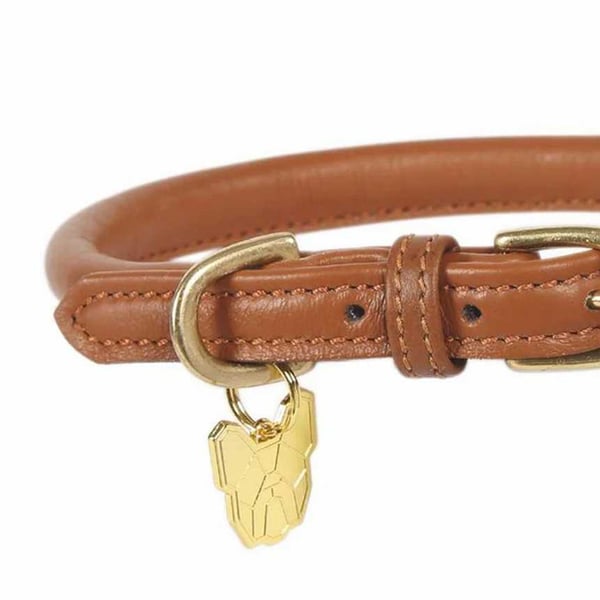Digby & Fox Rolled Leather Buckle Dog Collar