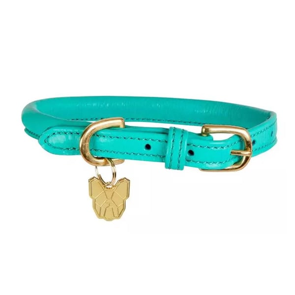 Digby & Fox Rolled Leather Buckle Dog Collar