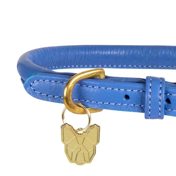 Digby & Fox Rolled Leather Buckle Dog Collar