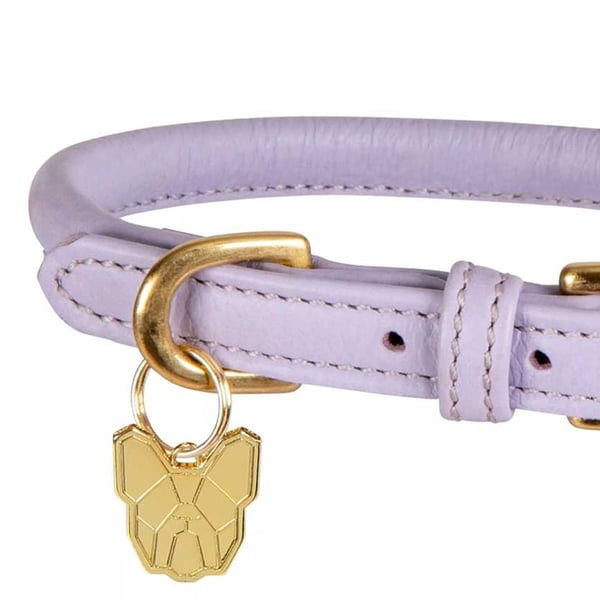 Digby & Fox Rolled Leather Buckle Dog Collar