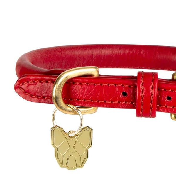Digby & Fox Rolled Leather Buckle Dog Collar