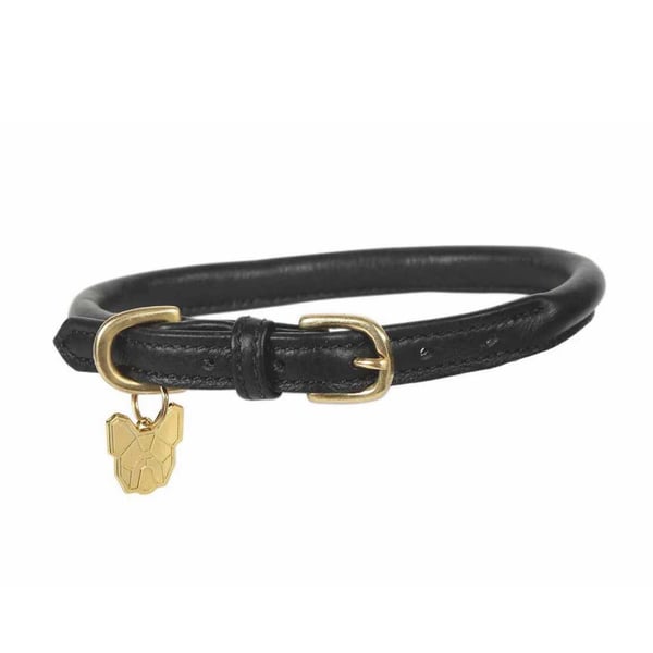 Digby & Fox Rolled Leather Buckle Dog Collar
