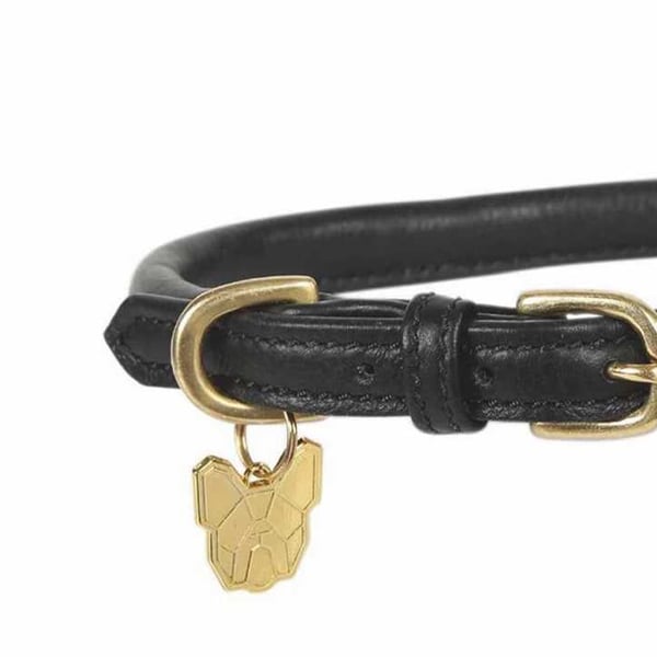 Digby & Fox Rolled Leather Buckle Dog Collar