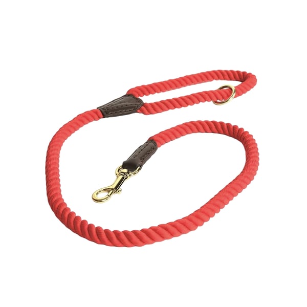 Digby & Fox Twisted Dog Lead