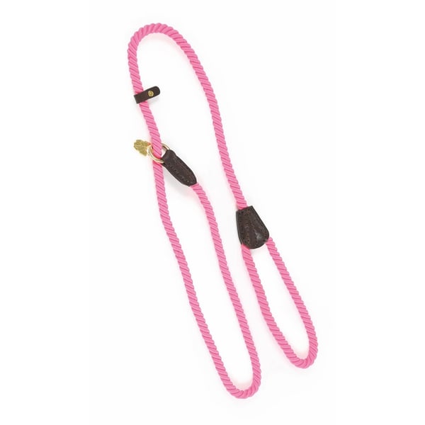 Digby & Fox Rope Leather Dog Slip Lead