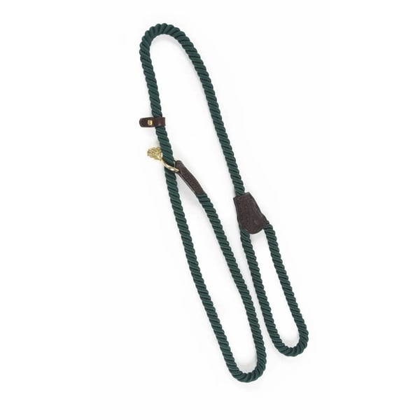 Digby & Fox Rope Leather Dog Slip Lead