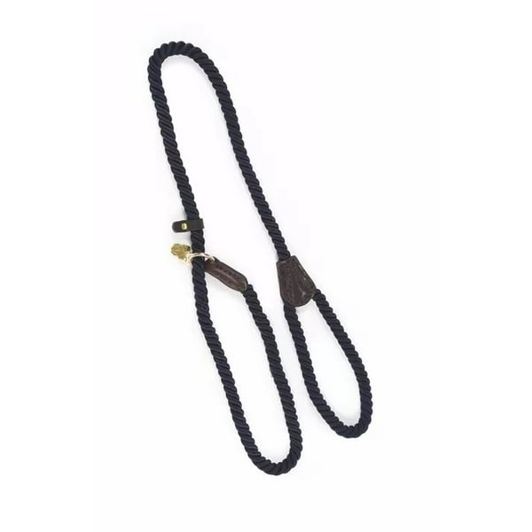 Digby & Fox Rope Leather Dog Slip Lead