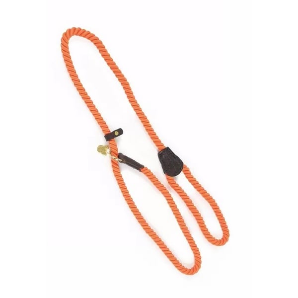 Digby & Fox Rope Leather Dog Slip Lead