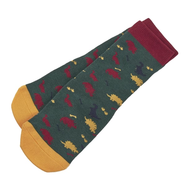 Tikaboo Childrens/Kids Dinosaur Long Length Socks
