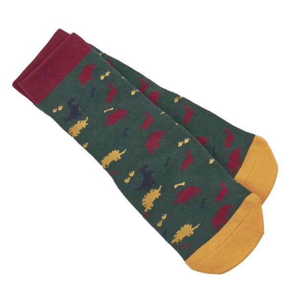 Tikaboo Childrens/Kids Dinosaur Long Length Socks