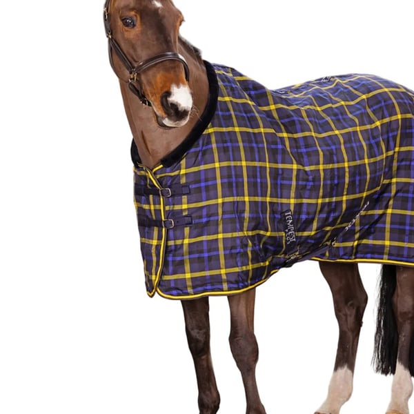 Tempest Plus Lite Standard-Neck Tartan Horse Stable Rug