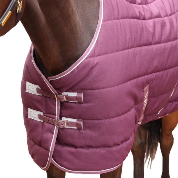 Tempest Original Standard-Neck 300g Horse Stable Rug