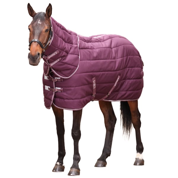 Tempest Original Combo Neck Horse Stable Rug & Neck