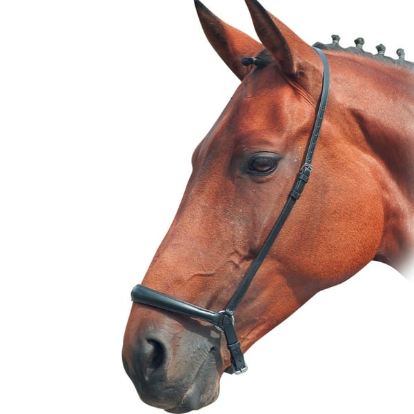 Blenheim Læder hest drop næserem