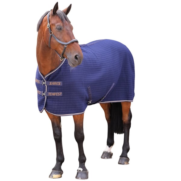 Tempest Original Tech Standard-Neck tikattu hevosen viilennysloimi