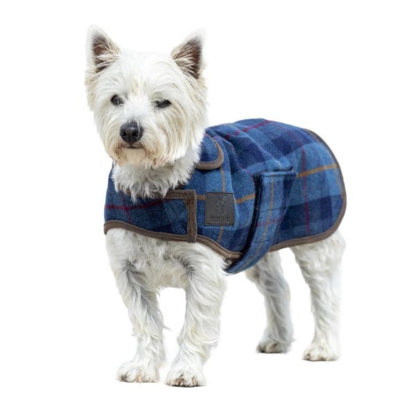 Digby & Fox Rutig Tweed Hundkappa