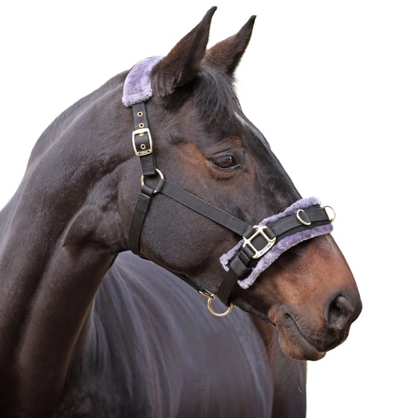 Shires Fleece Lined Plush Horse Lunge Cavesson