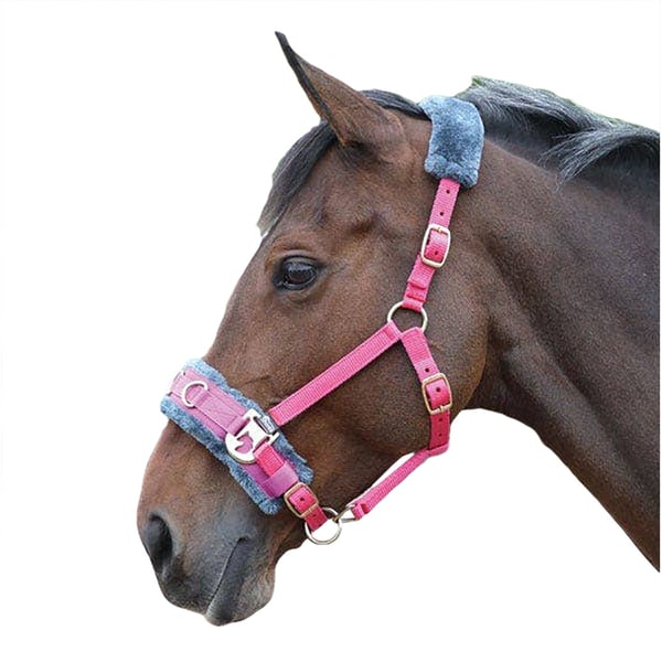 Shires Fleece Lined Plush Horse Lunge Cavesson