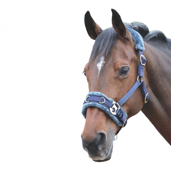 Shires Fleece Lined Plush Horse Lunge Cavesson