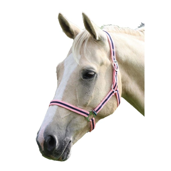 Wessex Grimma