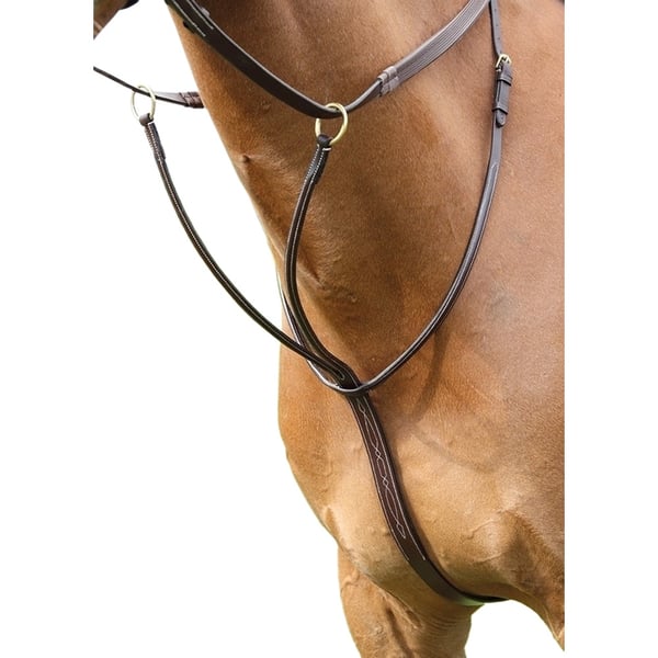 Salisbury Læder hest Running Martingale