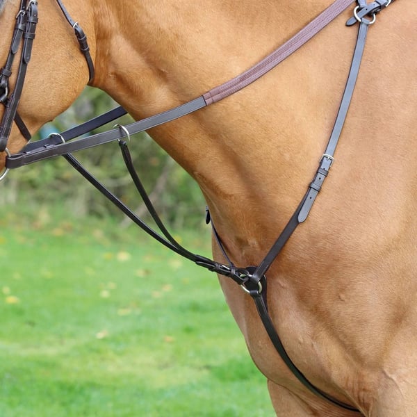 Aviemore Hunt Weight Nahkainen Hevosen Rintaremmi