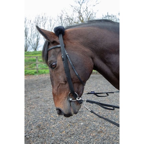 Shires Læder hest Lunging Adapter
