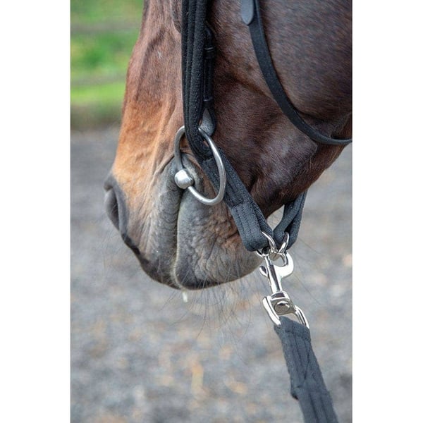 Shires Læder hest Lunging Adapter