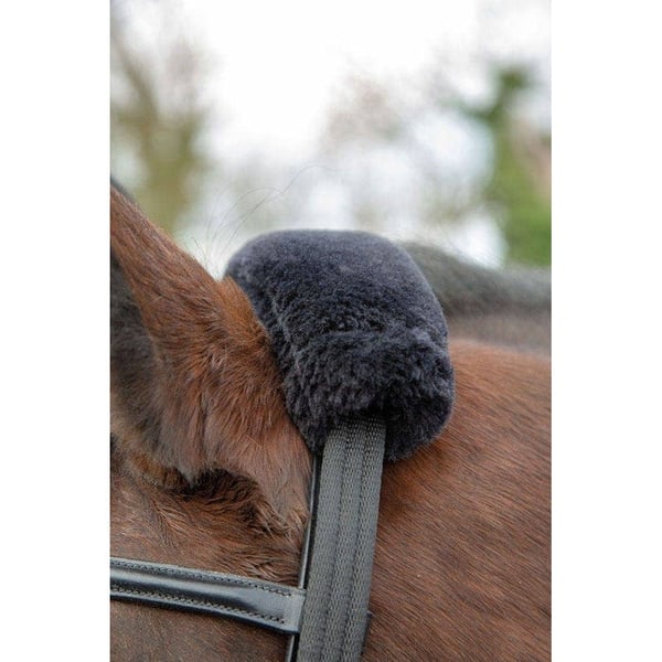 Shires Læder hest Lunging Adapter