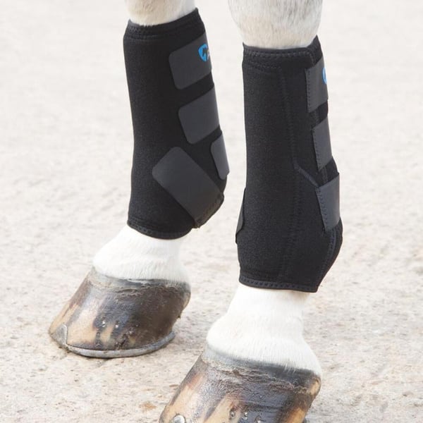 ARMA Sports Hevosbootsit
