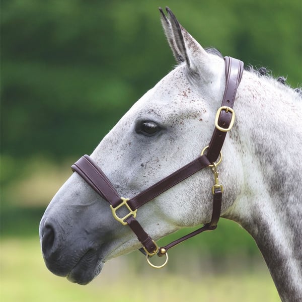 Blenheim Leather Travel Horse Headcollar