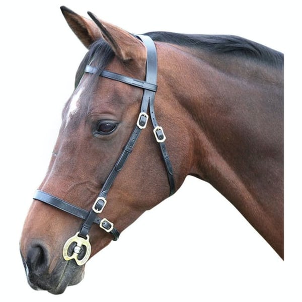 Blenheim Leather Plain Horse Inhand Bridle